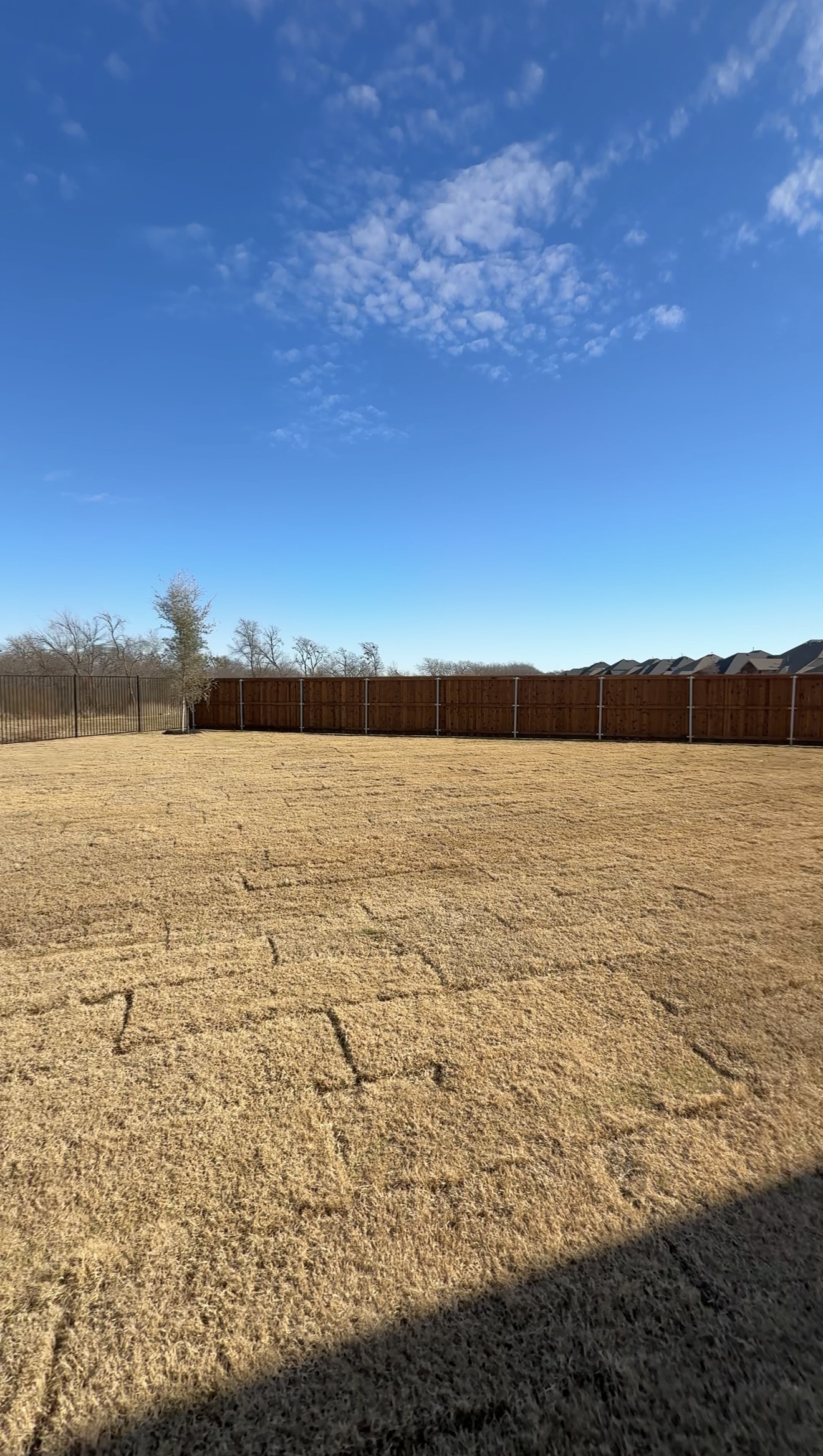 Luxury new construction backyard with sod and fencing in a North Texas custom home